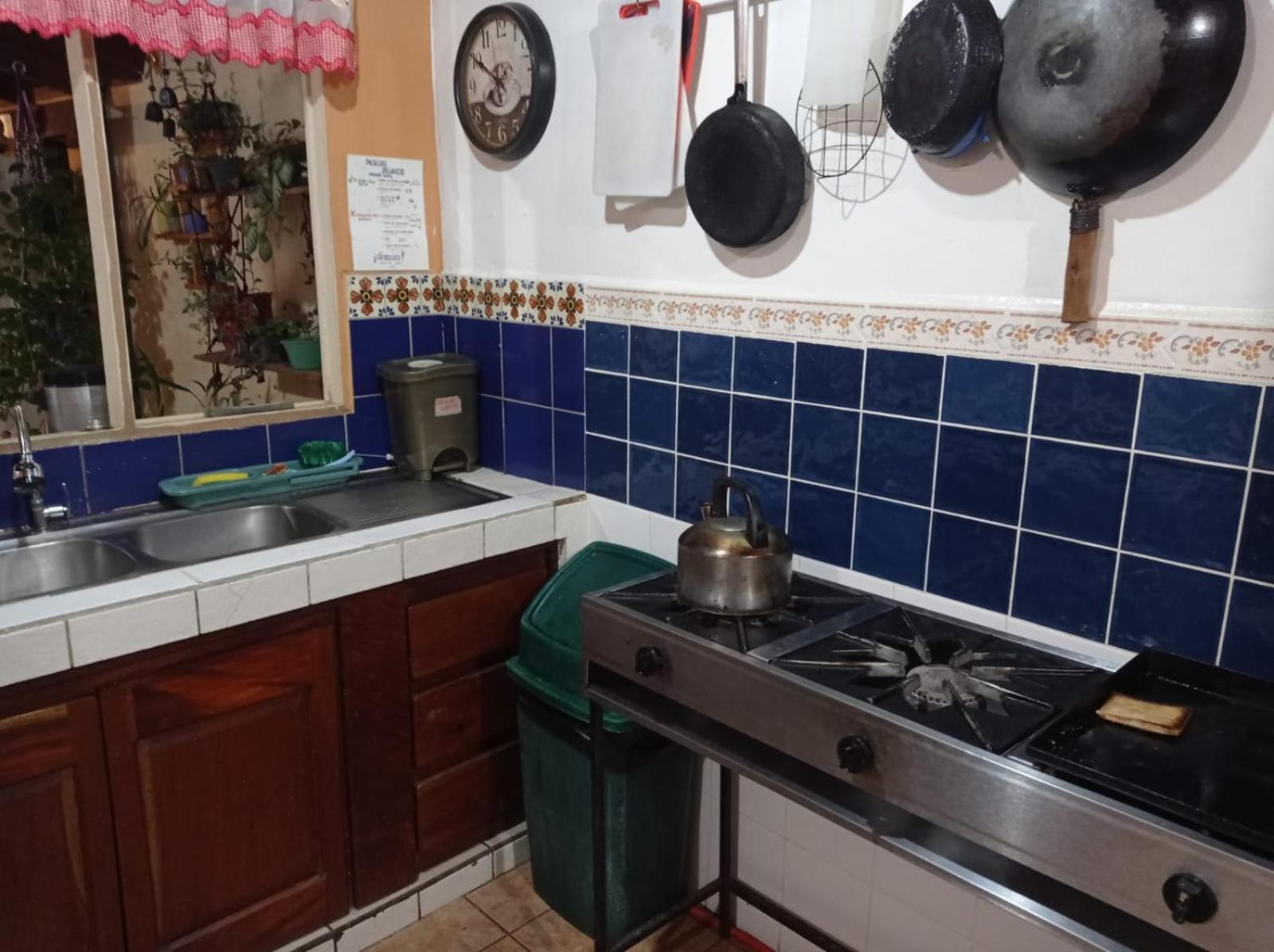 Hostel Casa Ridgway Σαν Χοσέ Εξωτερικό φωτογραφία