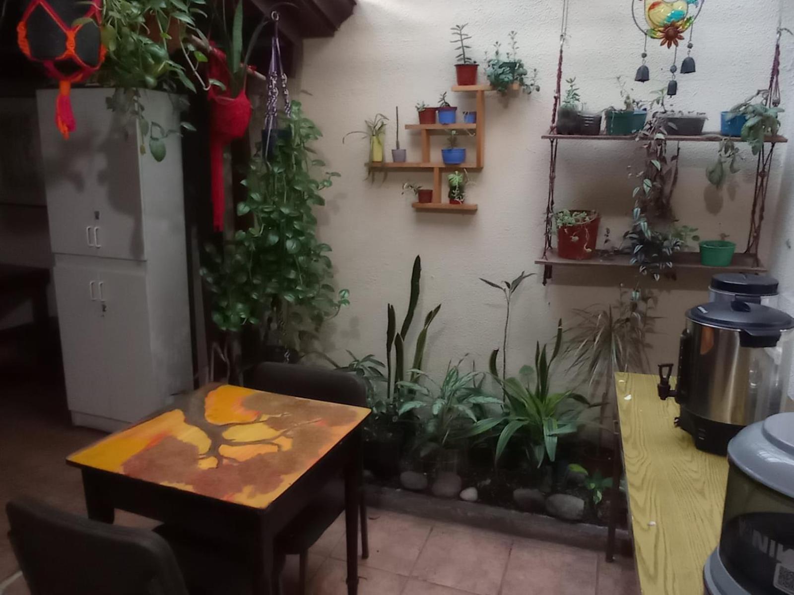 Hostel Casa Ridgway Σαν Χοσέ Εξωτερικό φωτογραφία